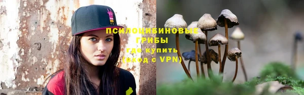 ПСИЛОЦИБИНОВЫЕ ГРИБЫ Беломорск