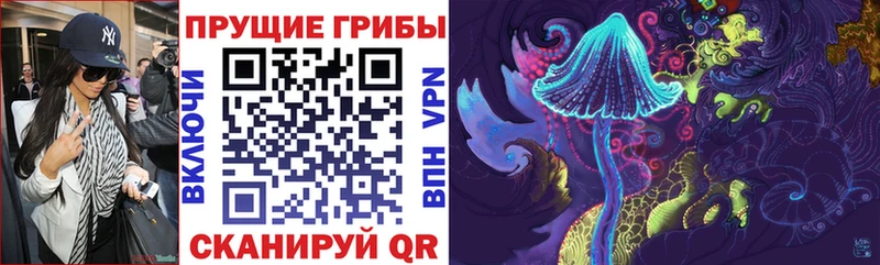 Галлюциногенные грибы прущие грибы купить Купино